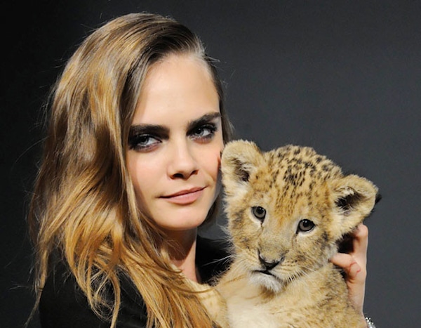 Cara Delevingne from Celebrities Gone Wild Stars Posing Cara Delevingne from Celebrities Gone Wild Stars Posing